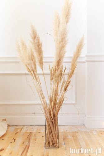  Tikkurila Optiva White_kolor White